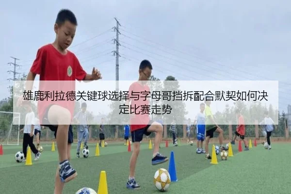 雄鹿利拉德关键球选择与字母哥挡拆配合默契如何决定比赛走势